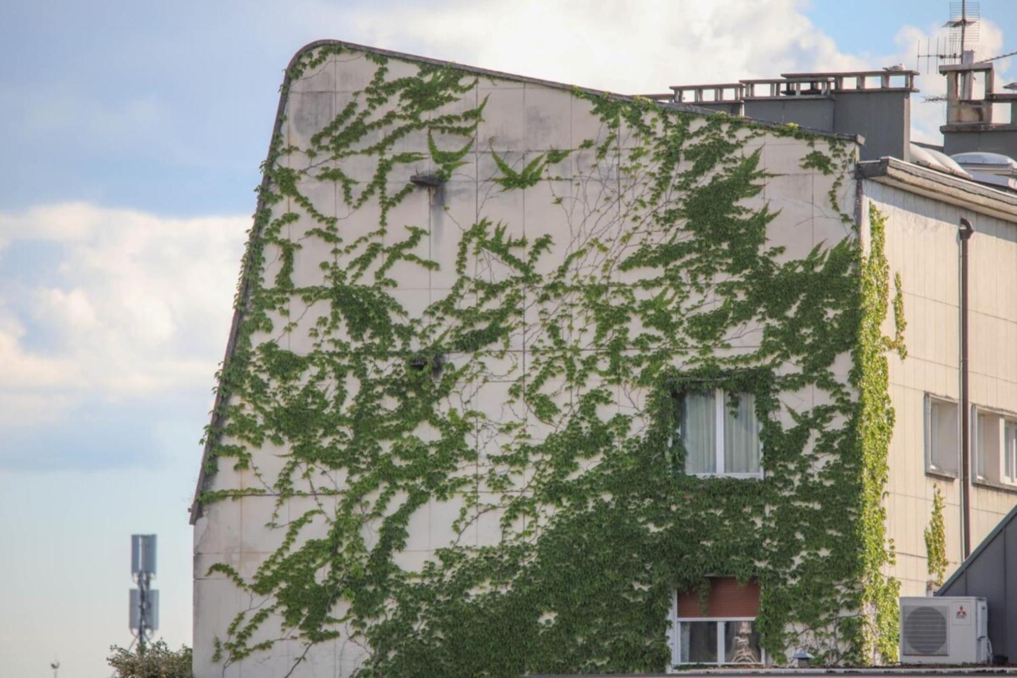 La Pause Annecienne Appartement Familial Annecy Bagian luar foto